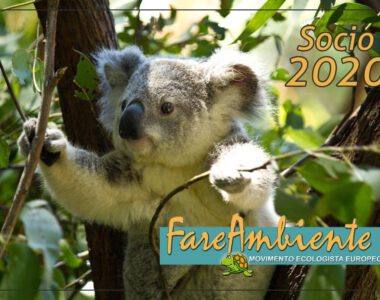 WhatsApp Image 2020-03-22 at 19.33.43